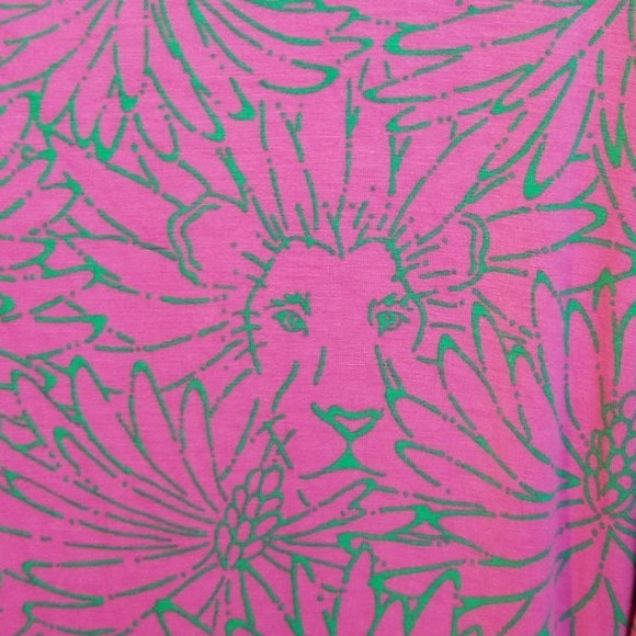 Lilly Pulitzer dress - Picture 5 of 8